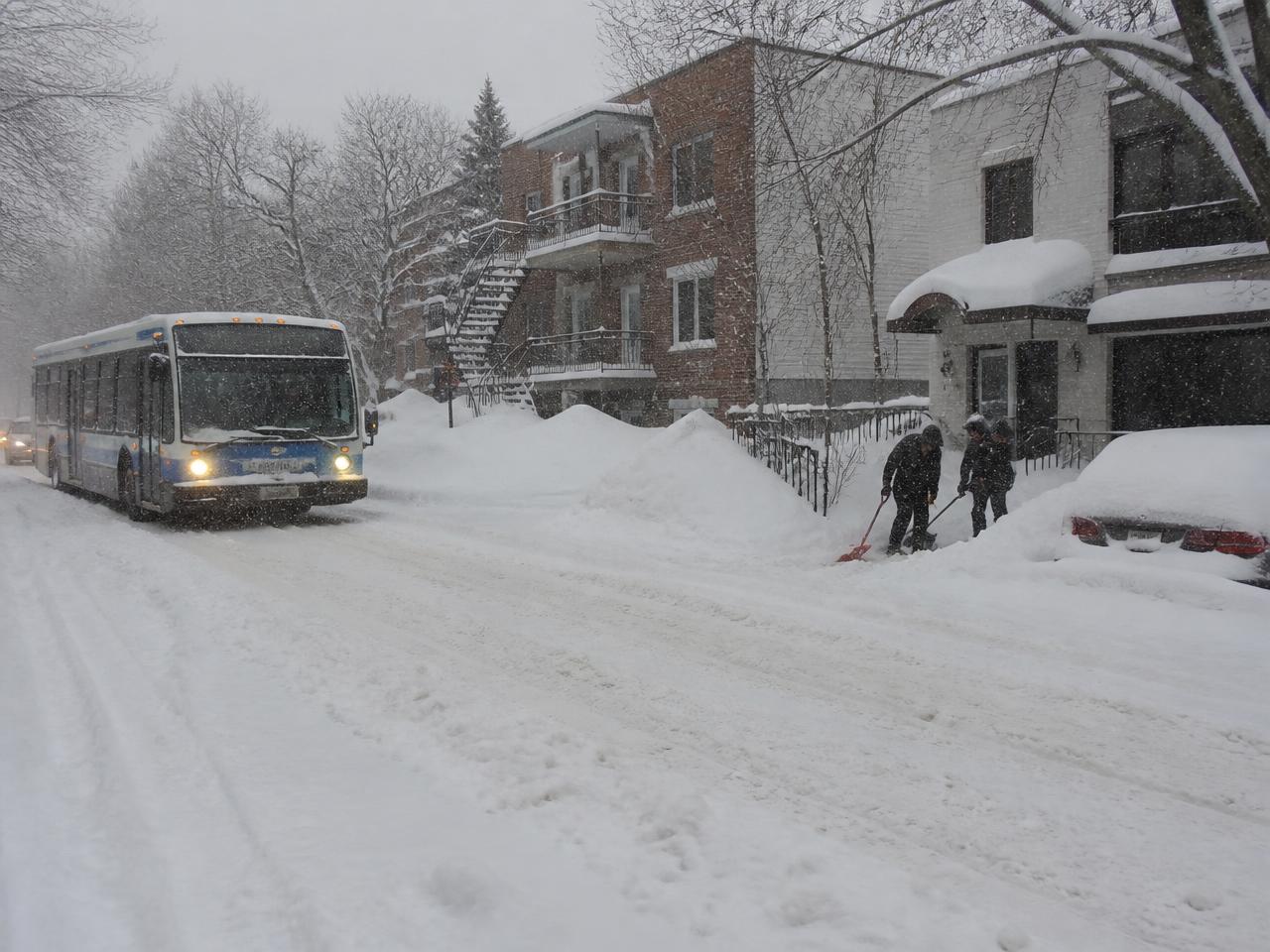 A snowstorm morning on a city street with deep snow, a bus crawling through slush and people shovelling a driveway